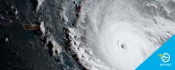 Why I Joined The Sunrun Team A Year After Hurricane Maria