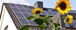 Are Solar Panels Worth the Cost?