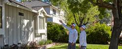 The Pros and Cons of Going Solar